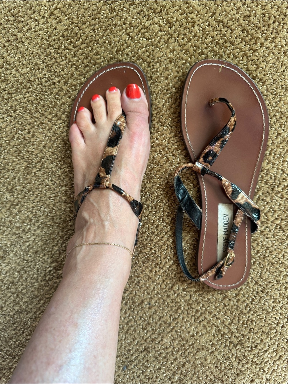 Steve Madden Brown Leopard-Print Toe-Loop Sandals with Black Accents